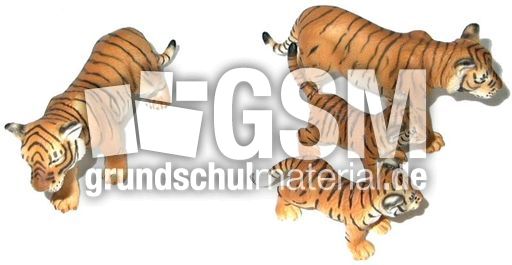 Tiger4-3.jpg